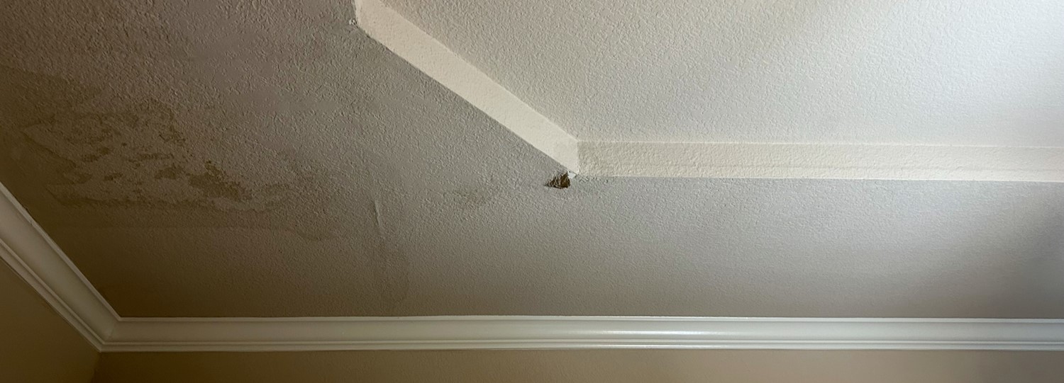 ServiceBeaver ceiling water damage repair