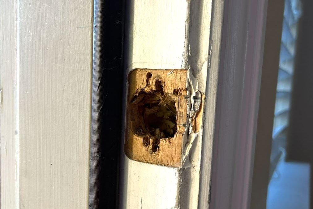 Professional door repair by ServiceBeaver in Keller and DFW Texas