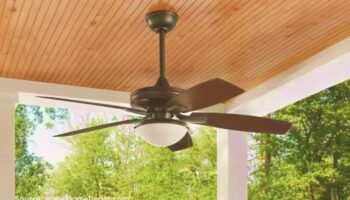 Outdoor Ceiling Fan
